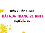 Bài 6.36 trang 21 Toán 7 Tập 2 Kết nối tri thức